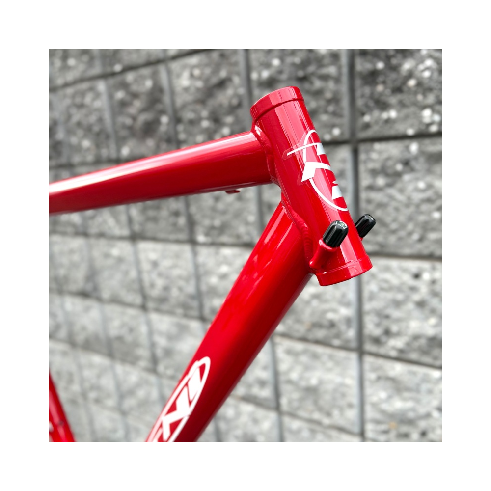 TNi COLUMBUS ロードフレーム Corsa レッド L52 未使用品 TNi COLUMBUS ロードフレーム Corsa レッド L52 未使用品 2025年
