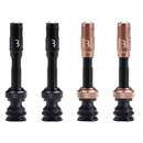 BBB (ビービービー) BTI-166 CORECAP AL VALVE コアキャップチューブレスバルブセット 40mm