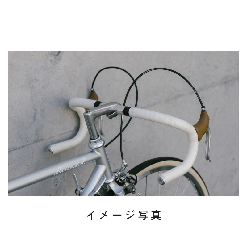 ウエムラサイクルパーツインターネット店 / FUJI (フジ) BALLAD